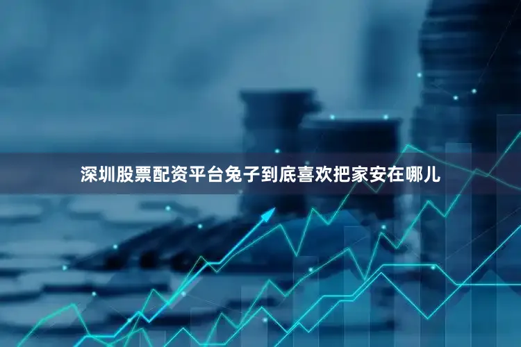 深圳股票配资平台兔子到底喜欢把家安在哪儿