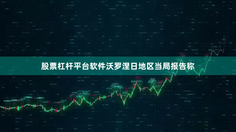 股票杠杆平台软件沃罗涅日地区当局报告称