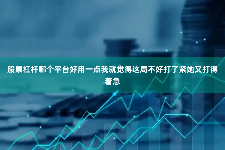 股票杠杆哪个平台好用一点我就觉得这局不好打了紧她又打得着急